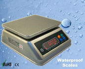 IP68 Waterproof 6kg 15kg Digital Weighing Scale